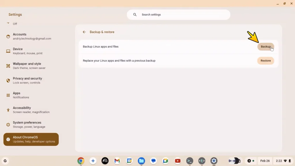 Backing up Linux apps and files in Chrome OS Flex