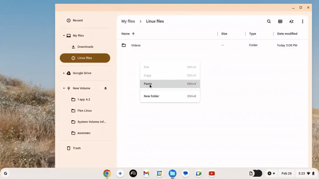 Linux Files folder inside Chrome OS Flex file manager