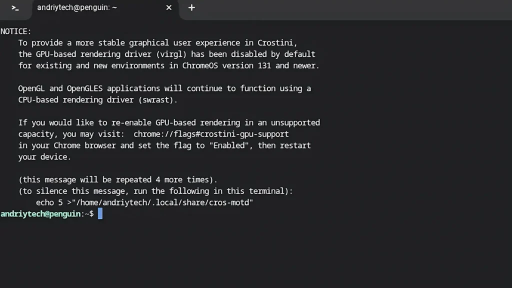 Linux terminal warning message about GPU rendering in Chrome OS Flex
