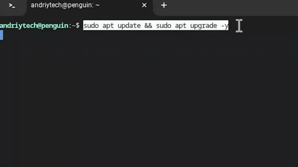 Running sudo apt update and upgrade command in Chrome OS Flex Linux terminal