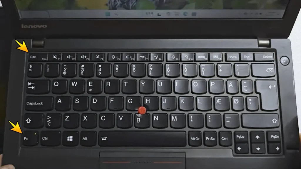 FN + Esc shortcut used to enable FN Lock on a Lenovo laptop