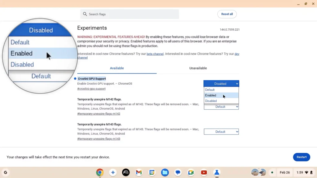 Enabling Crostini GPU Support flag in Chrome OS Flex